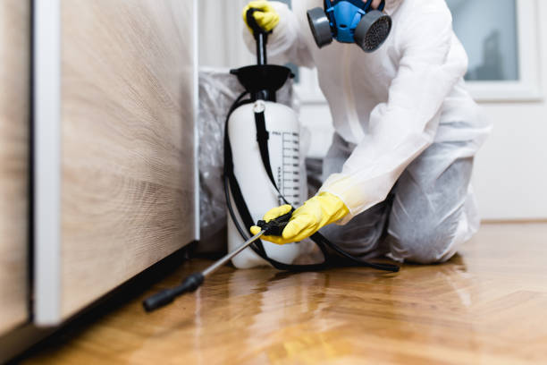 Best Residential Pest Control  in Palmyra, MO