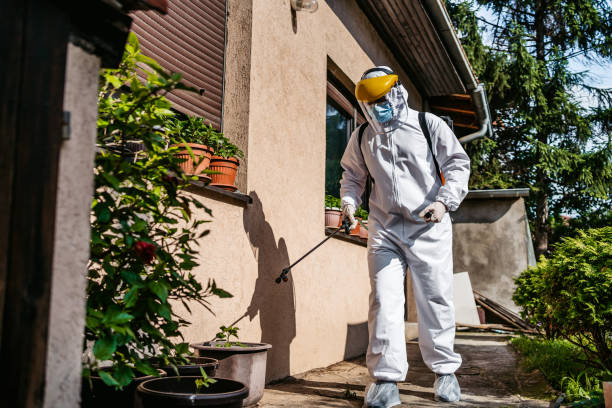 Best Wasp Removal Services  in Palmyra, MO