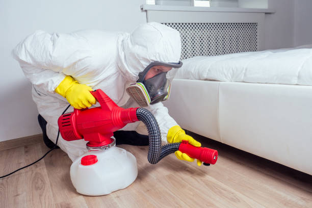 Best Rat Extermination Near Me  in Palmyra, MO