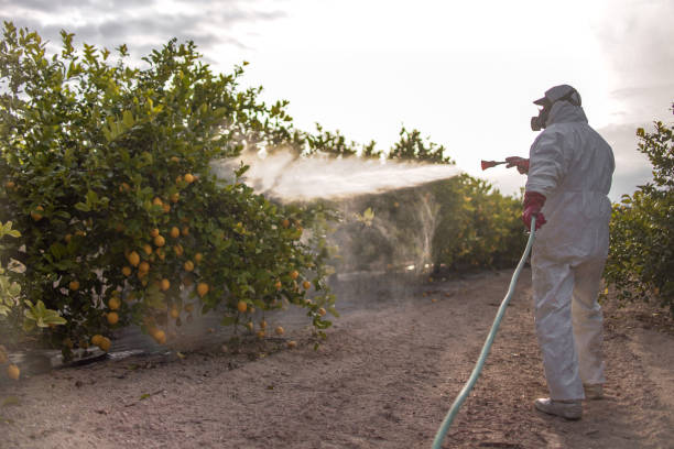 Best Pest Inspection Near Me  in Palmyra, MO