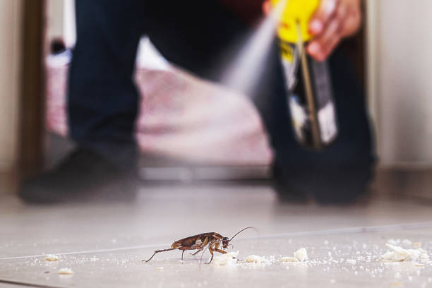 Palmyra, MO Pest Control Company