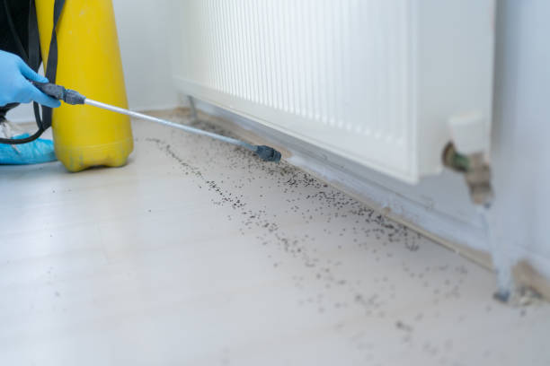 Best Mosquito Control Services  in Palmyra, MO