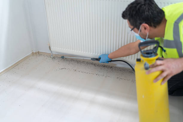 Best Residential Pest Control  in Palmyra, MO