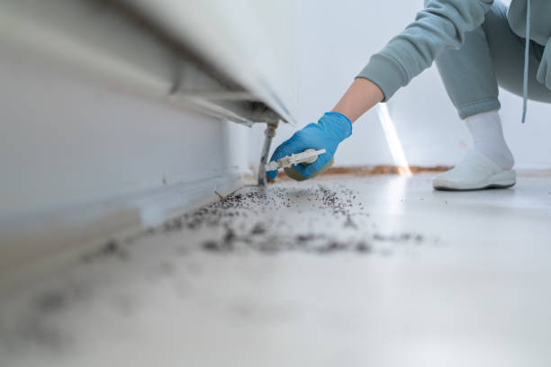 Best Pest Removal Services  in Palmyra, MO